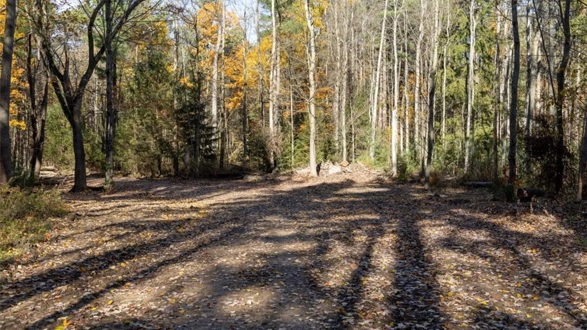 Property at 9881+9937 Larkin Road, Eden, NY 14057 22