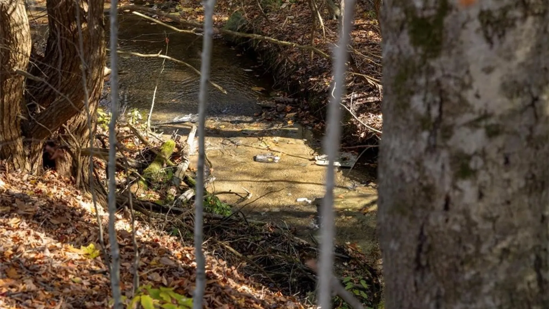 Property at 9881+9937 Larkin Road, Eden, NY 14057 4