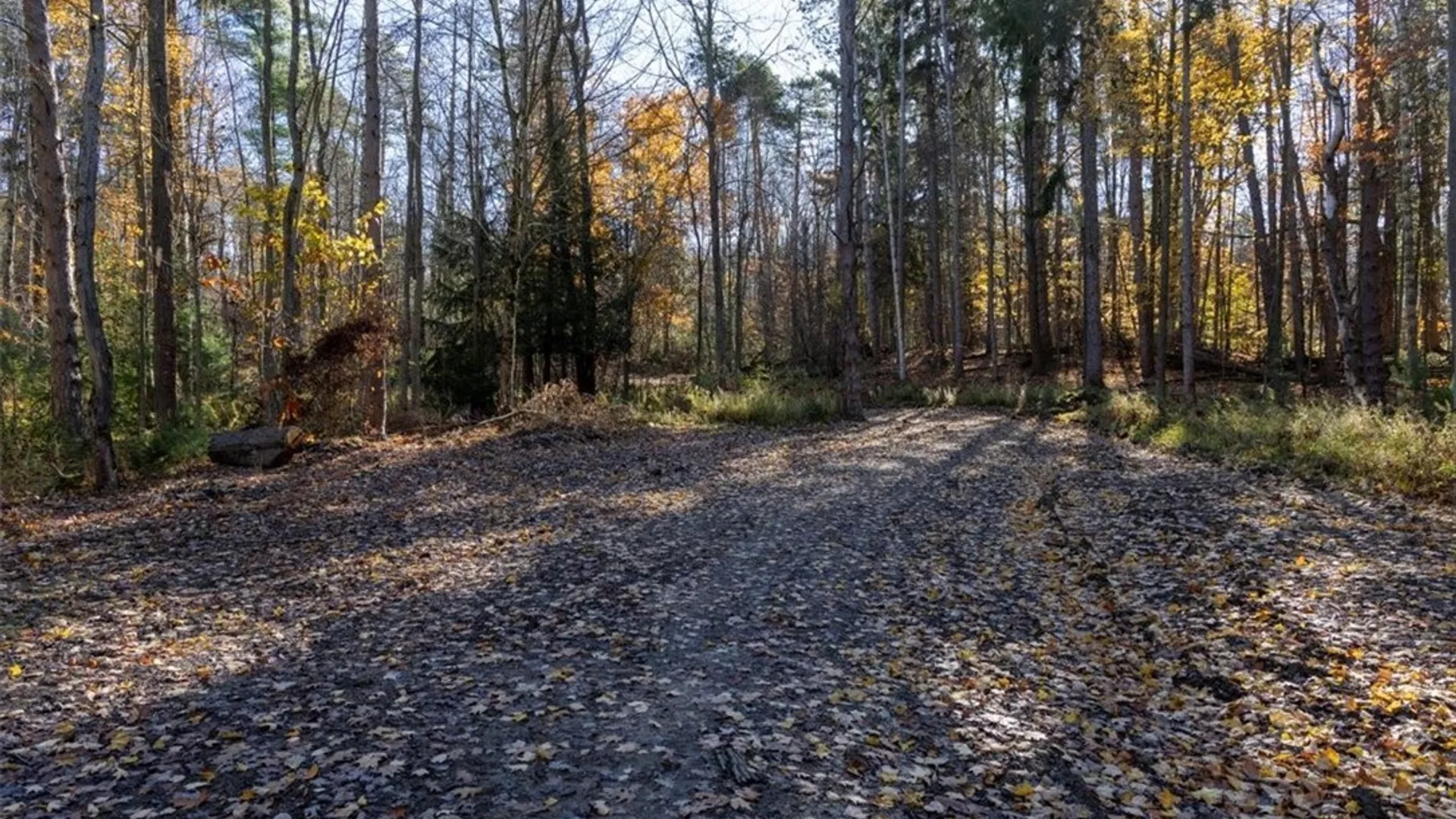 Property at 9881+9937 Larkin Road, Eden, NY 14057 5