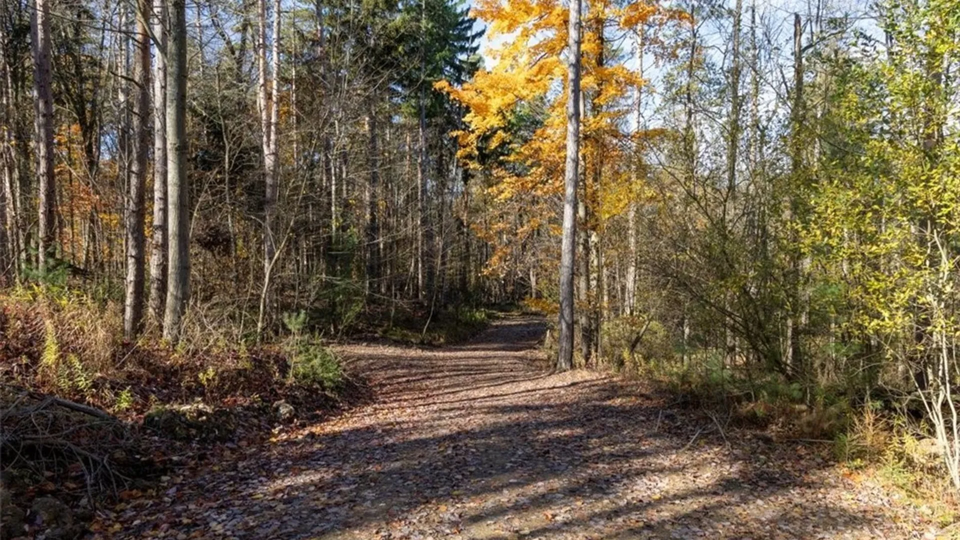 Property at 9881+9937 Larkin Road, Eden, NY 14057 7