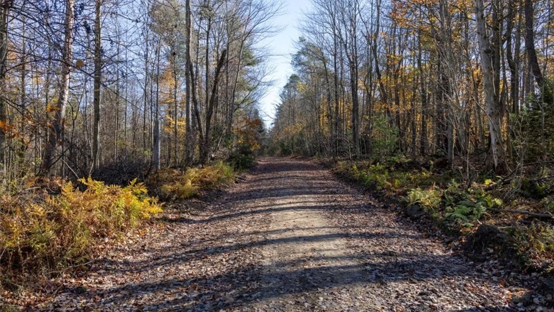 Property at 9881+9937 Larkin Road, Eden, NY 14057 8