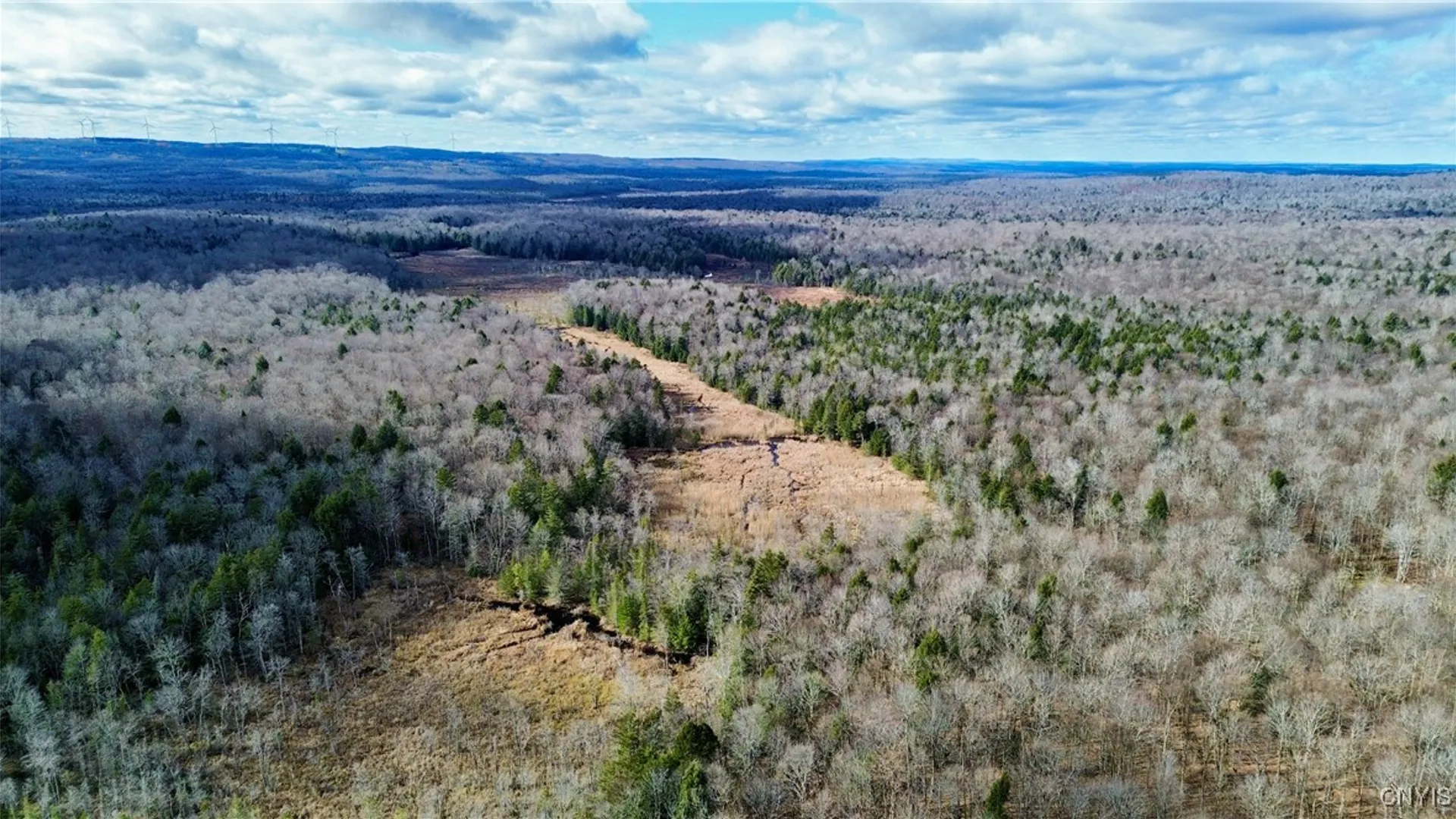 Property at Lot 3 Jerseyfield Road, Salisbury, NY 13365 2