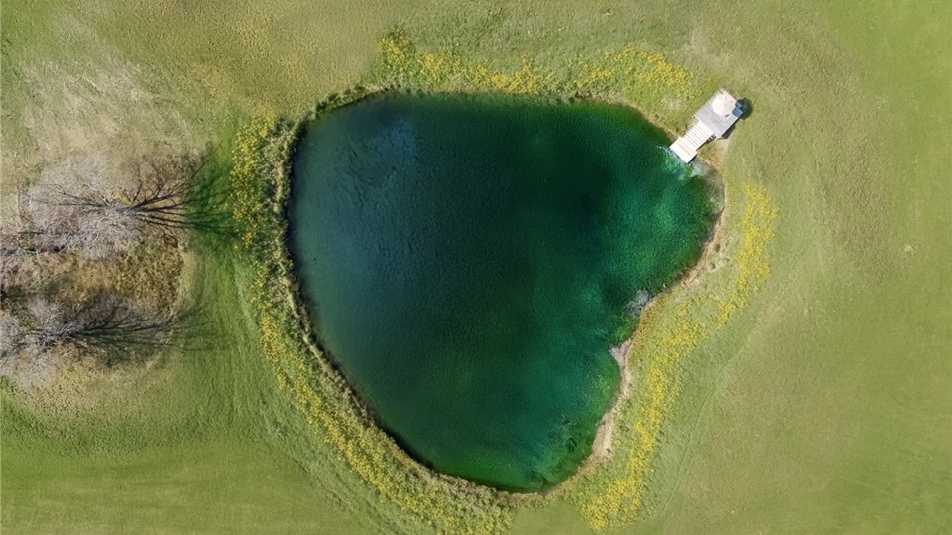 Property at 1625 Carey Rd., Franklin, NY 13775 42