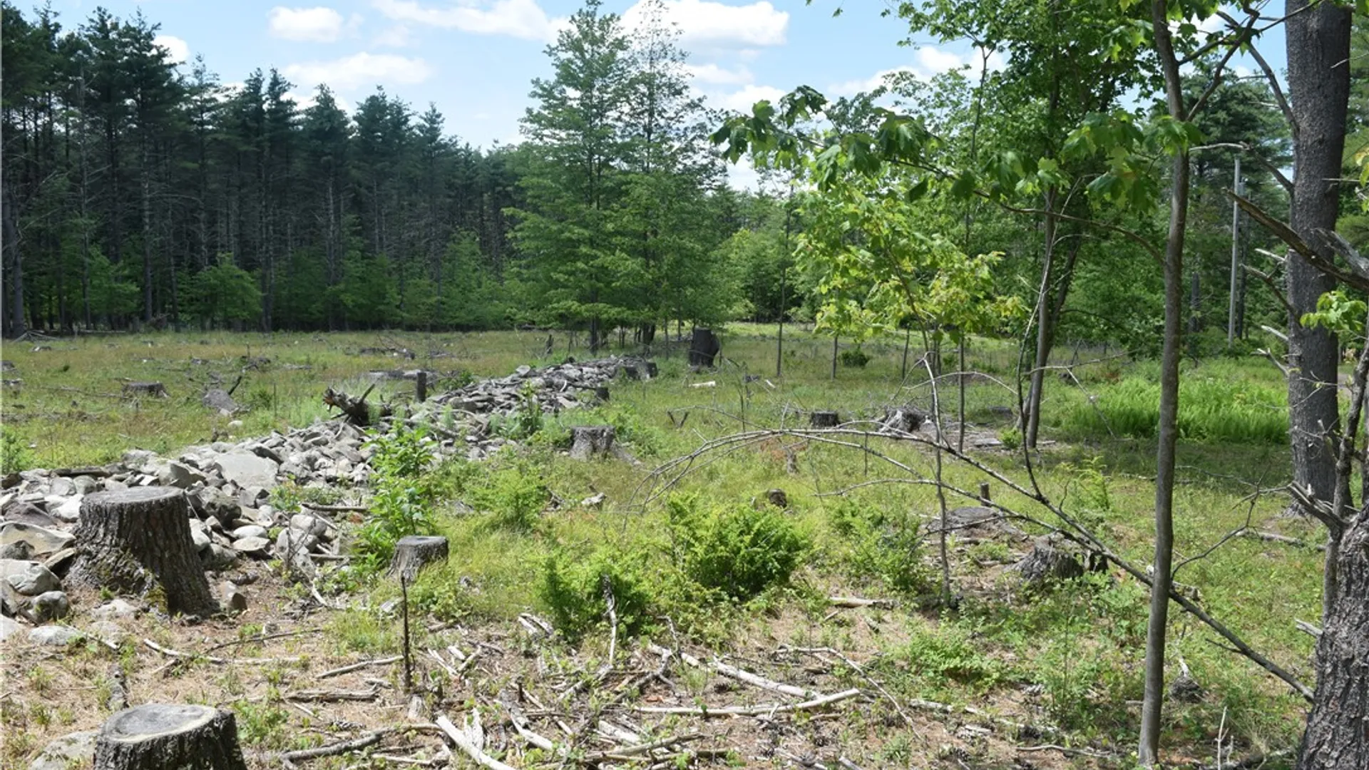 Property at Lot 21 Anthony Road, Cairo, NY 12413 10