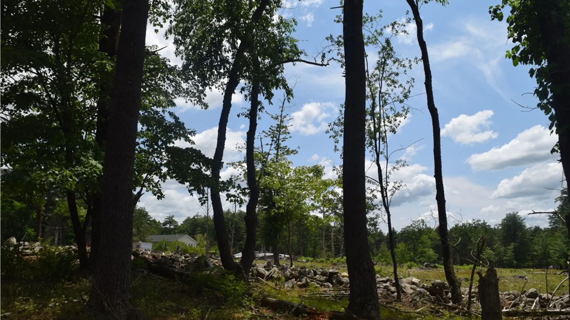 Property at Lot 21 Anthony Road, Cairo, NY 12413 11