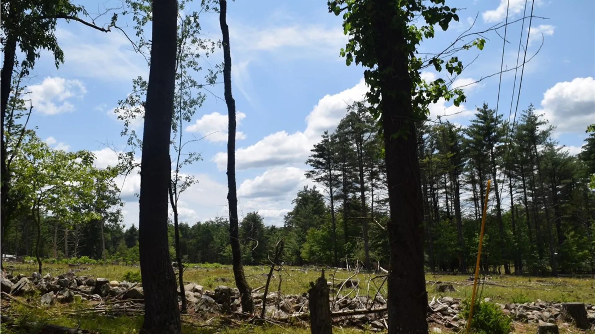 Property at Lot 21 Anthony Road, Cairo, NY 12413 12