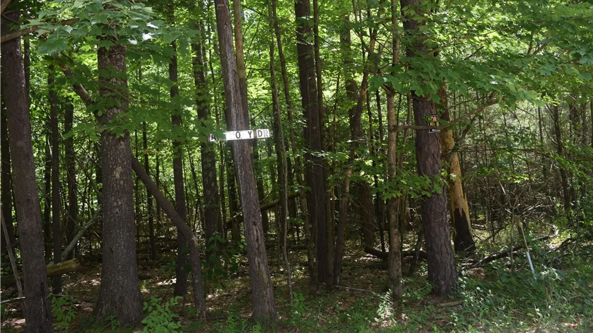 Property at Lot 21 Anthony Road, Cairo, NY 12413 13