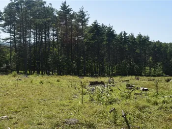 Lot 21 Anthony Road, Cairo, NY 12413