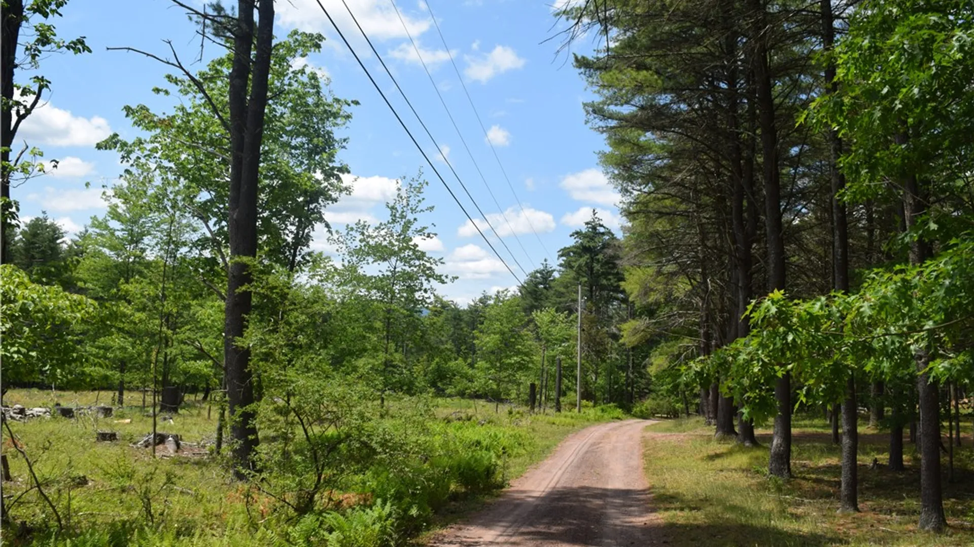 Property at Lot 21 Anthony Road, Cairo, NY 12413 2