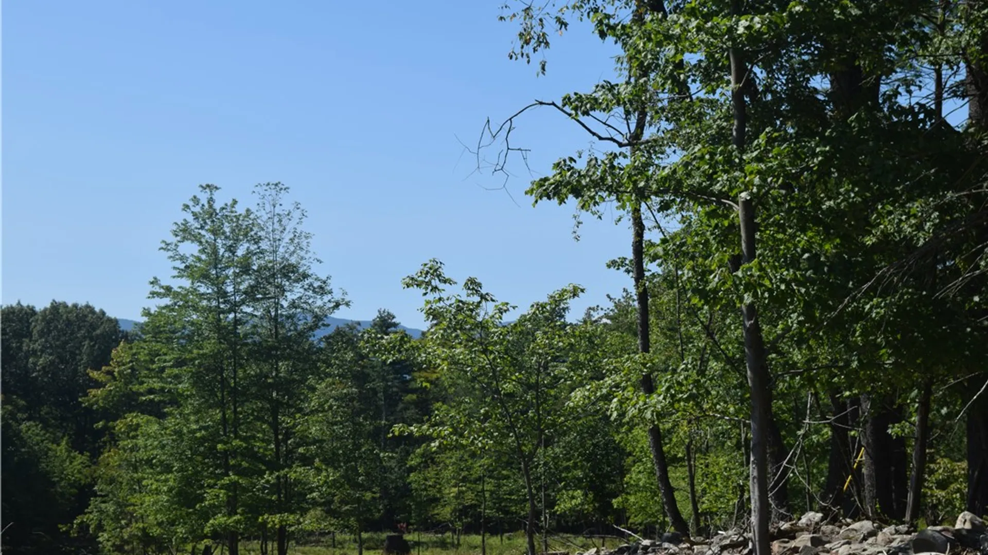 Property at Lot 21 Anthony Road, Cairo, NY 12413 3