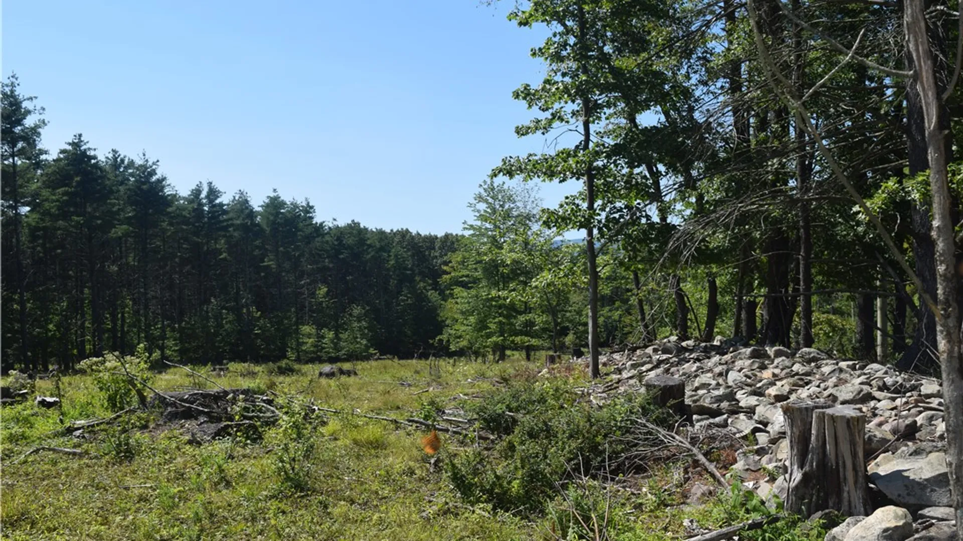 Property at Lot 21 Anthony Road, Cairo, NY 12413 4