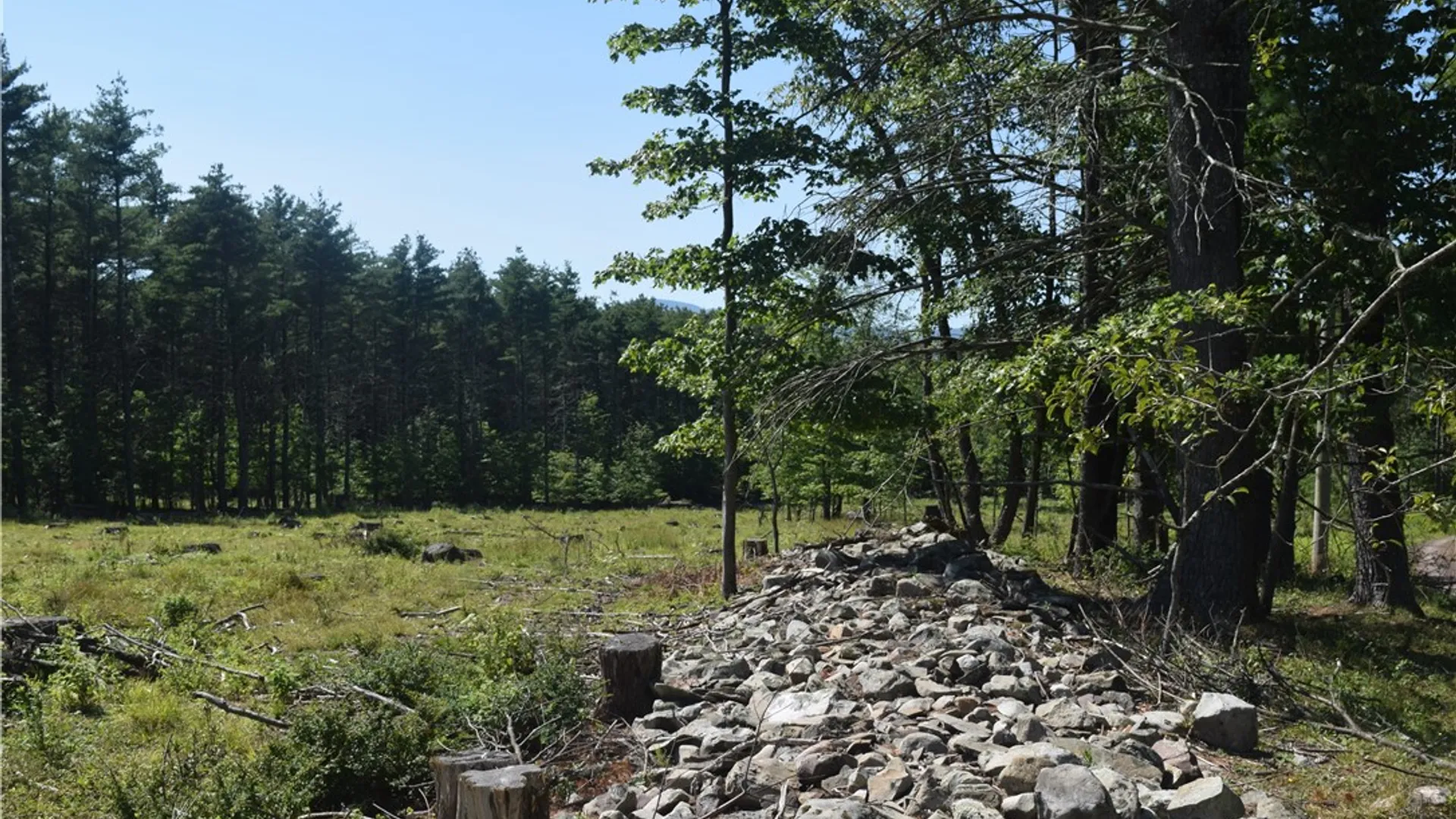 Property at Lot 21 Anthony Road, Cairo, NY 12413 5