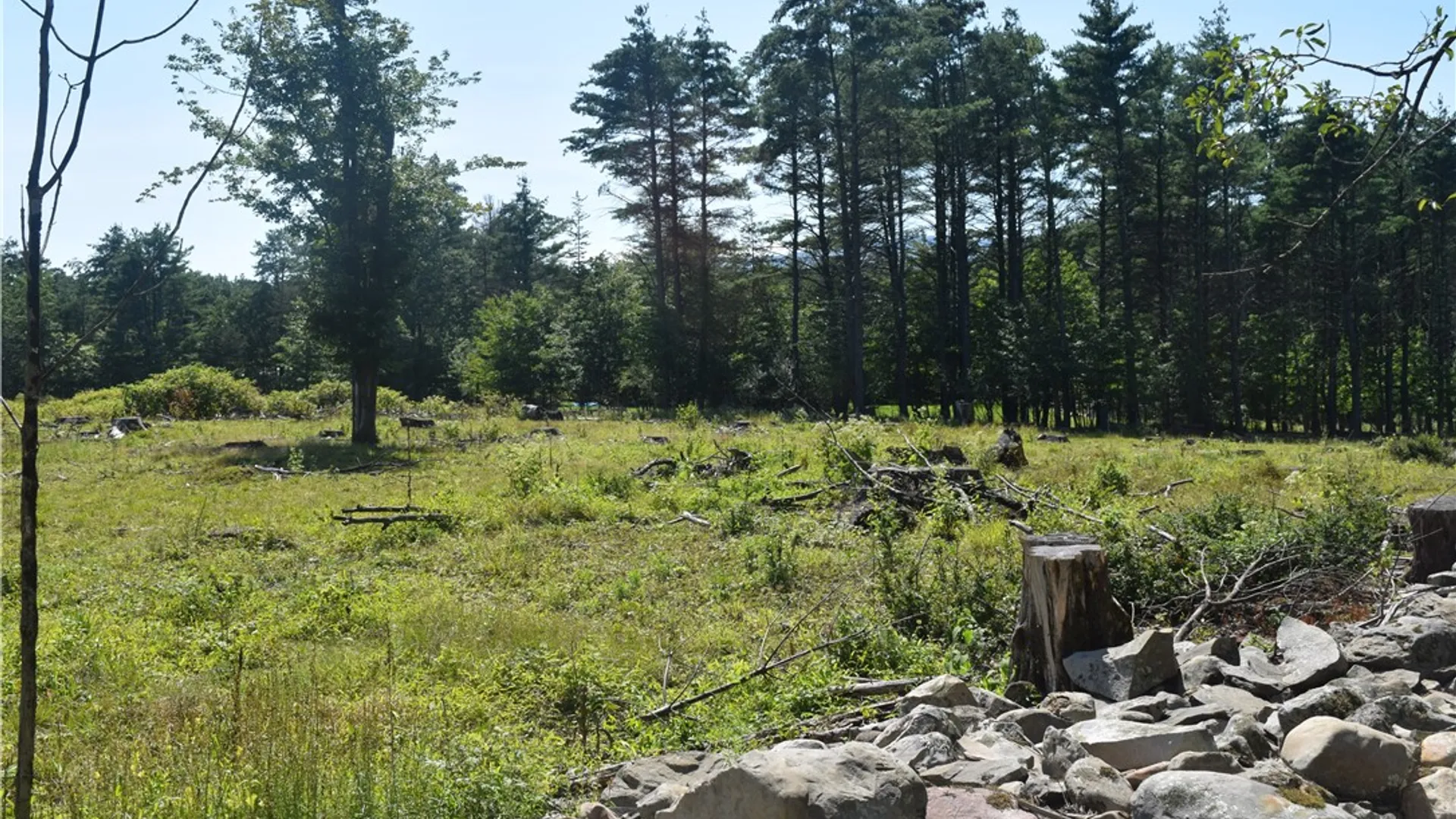 Property at Lot 21 Anthony Road, Cairo, NY 12413 6