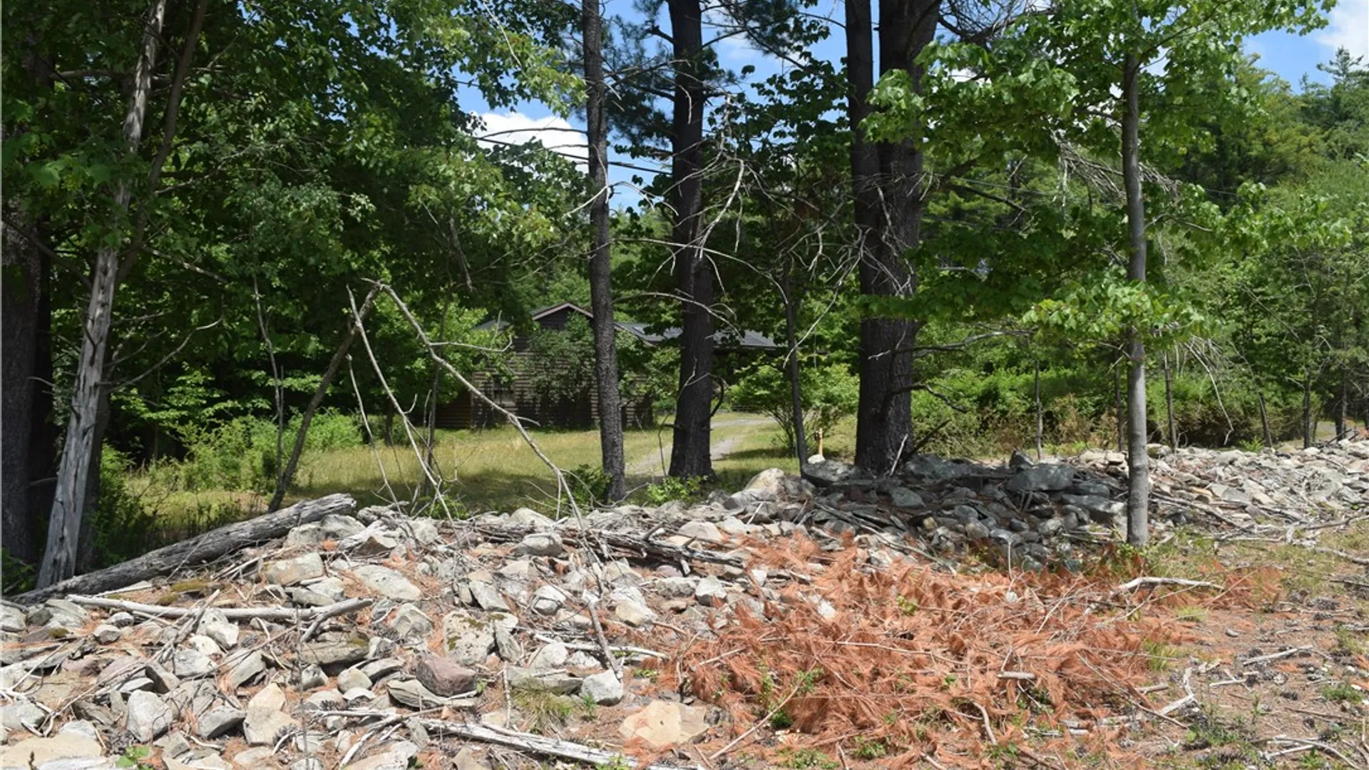 Property at Lot 21 Anthony Road, Cairo, NY 12413 7