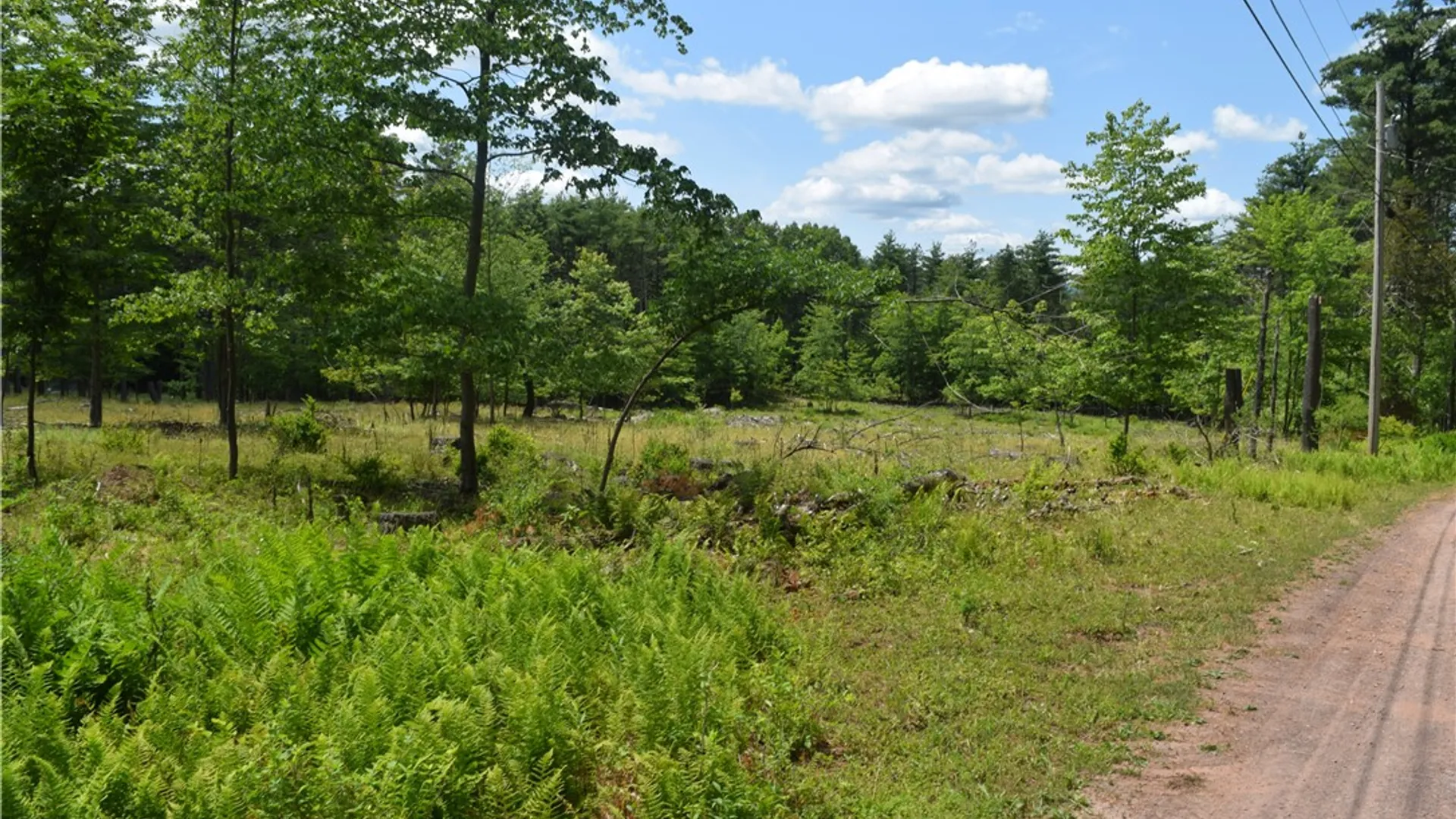 Property at Lot 21 Anthony Road, Cairo, NY 12413 9