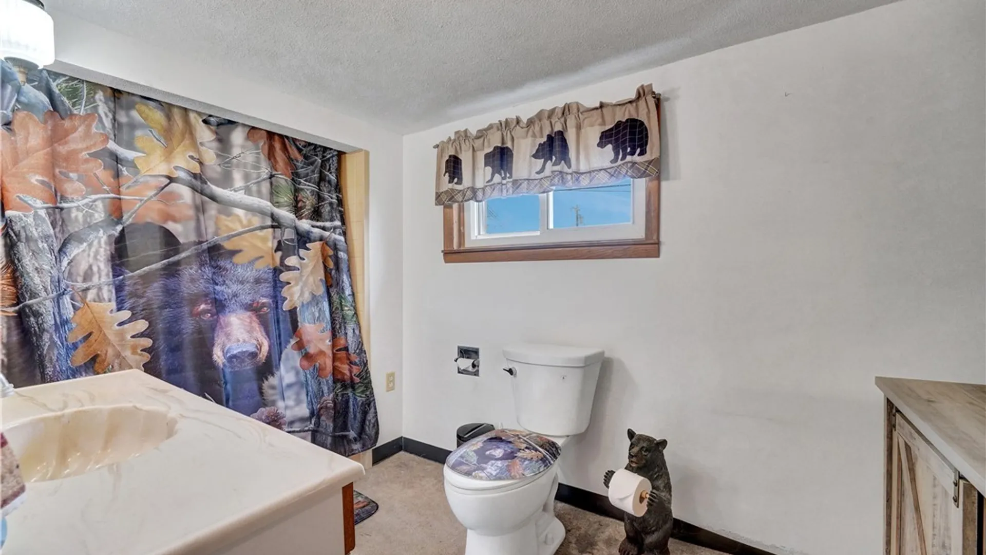 Property at 273 Broad Bay Circle, Machias, NY 14101 28