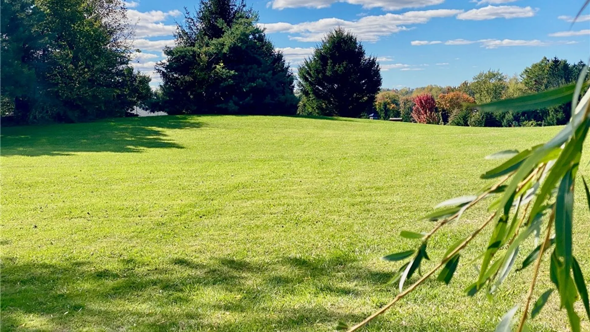 Property at 4455 Eddy Ridge (LOT A) Road, Marion, NY 14505 19