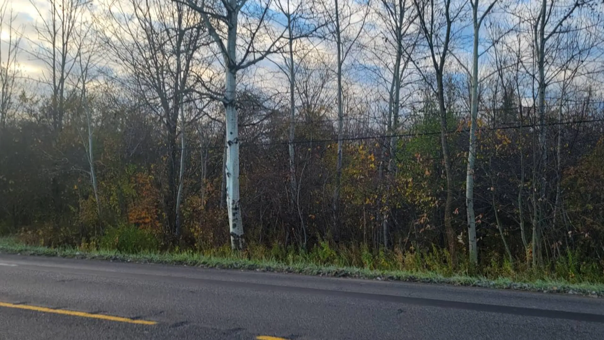 Property at 00 St Rt 13, Pulaski, NY 13142 2