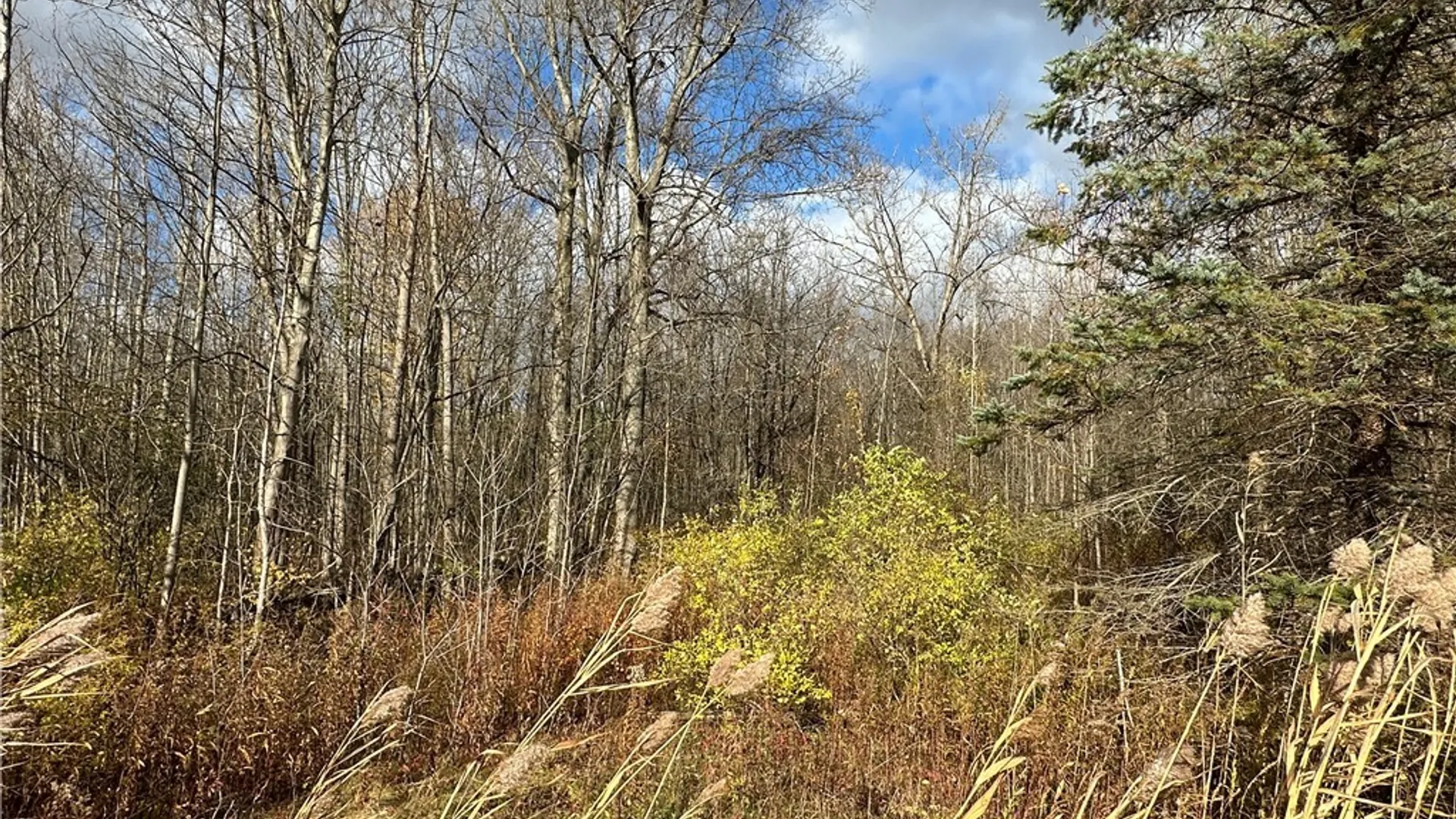 Property at County Route 4, Scriba, NY 13126 5