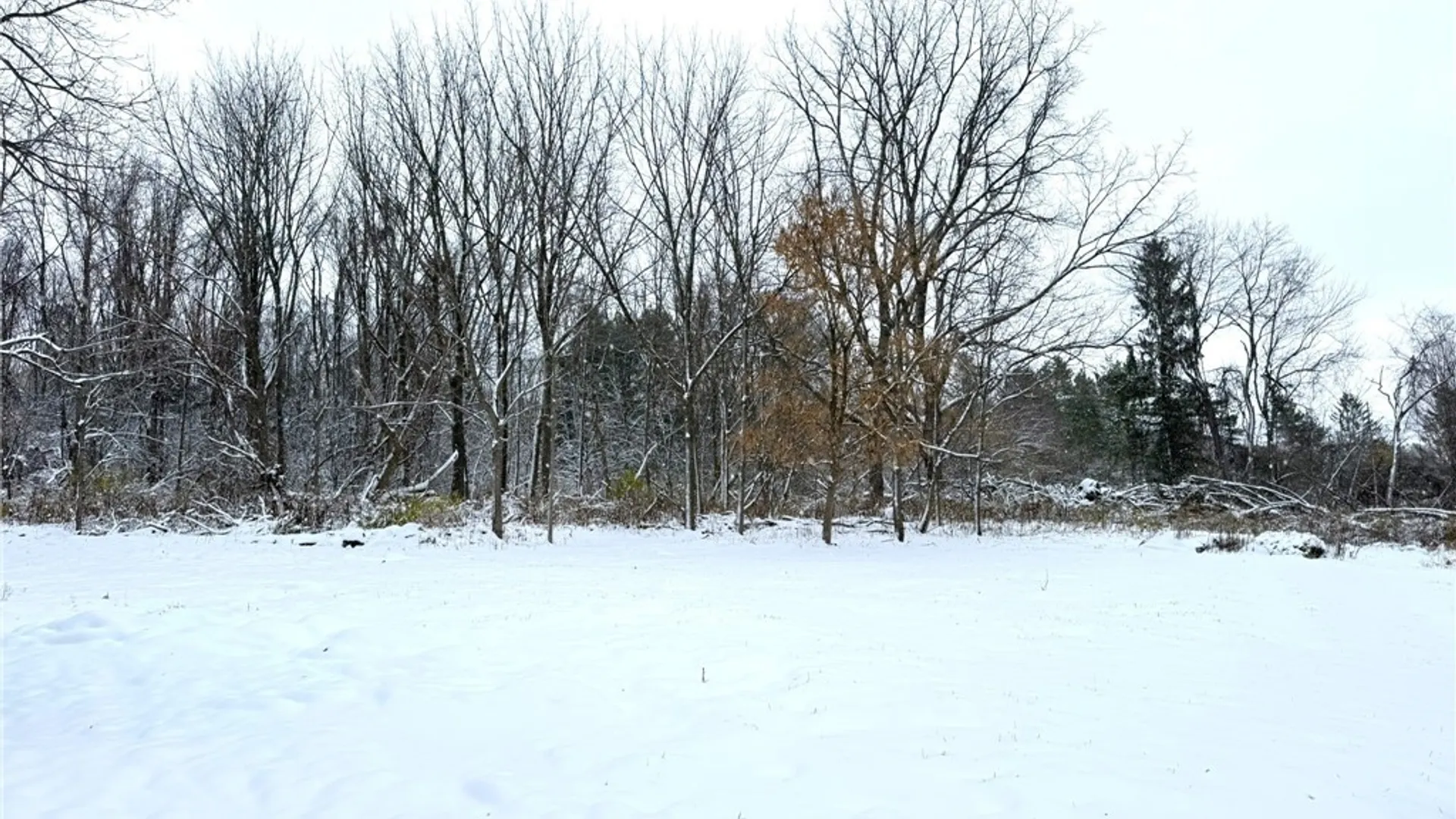 Property at 223 Route 5, Elbridge, NY 13166 21