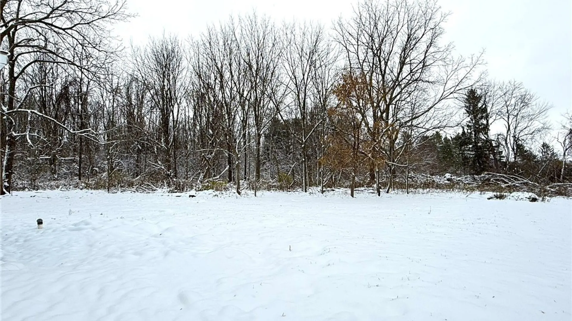 Property at 223 Route 5, Elbridge, NY 13166 22