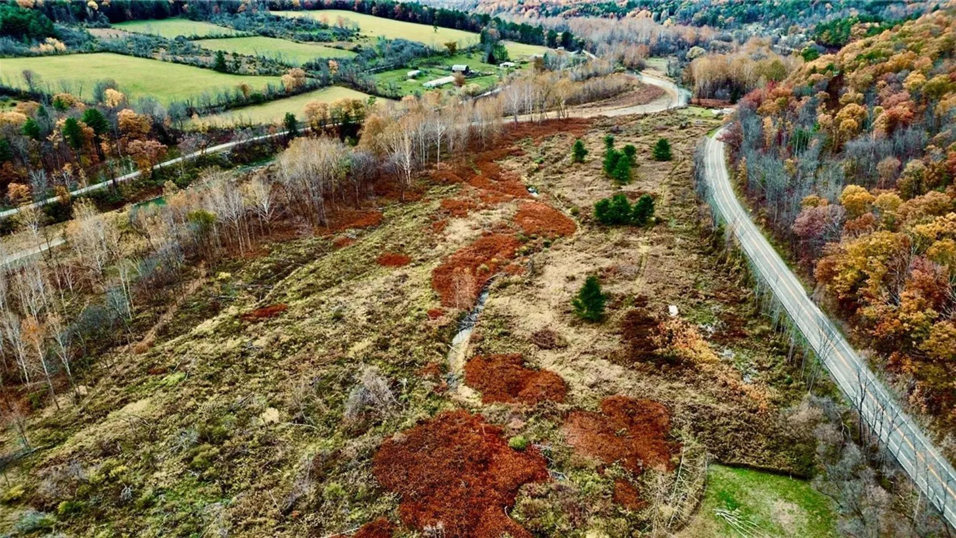 Property at 7684 State Route 417, Tuscarora, NY 14801 19