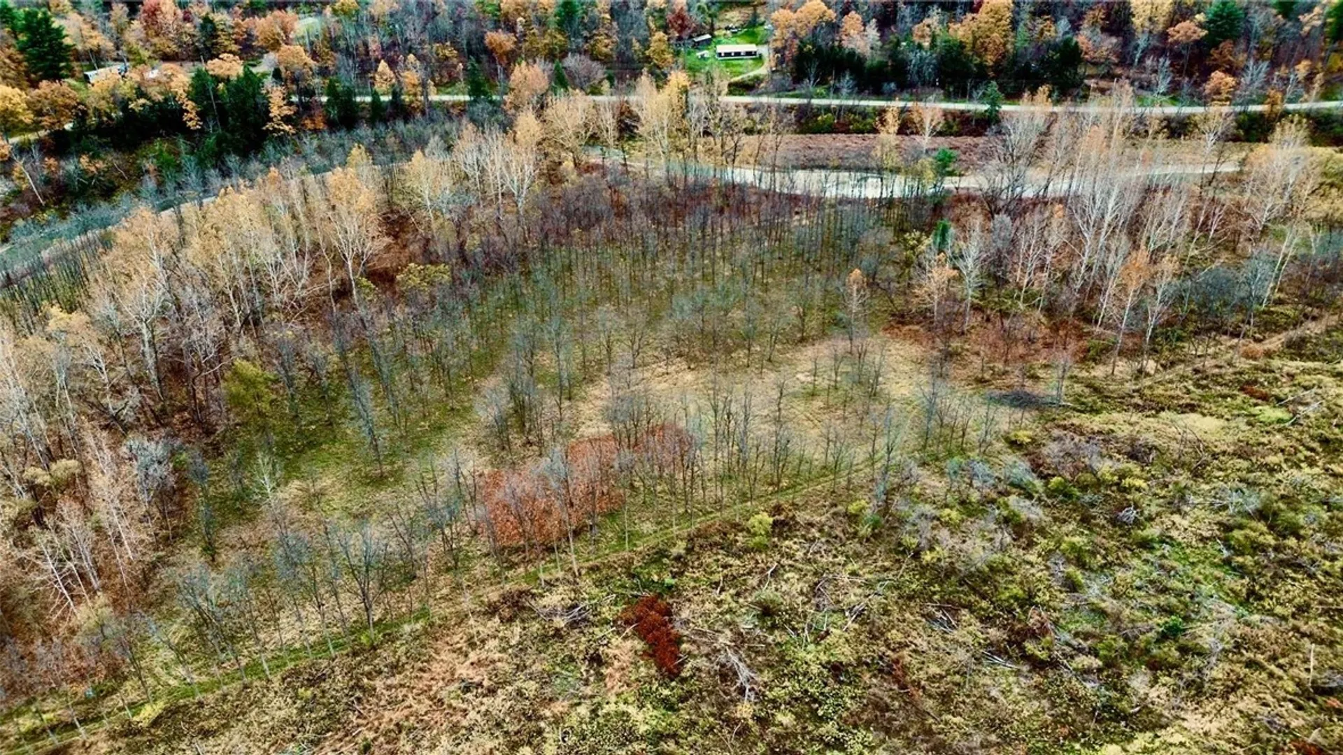 Property at 7684 State Route 417, Tuscarora, NY 14801 20