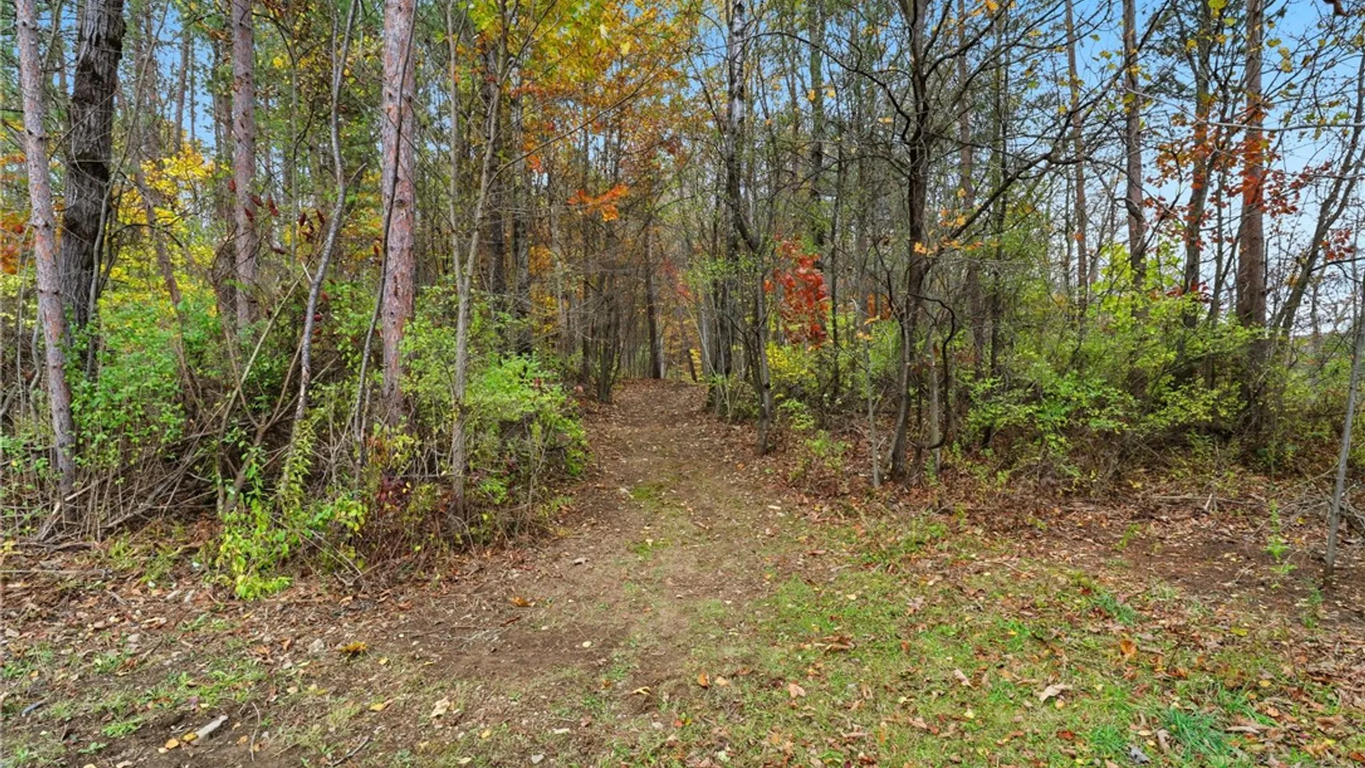 Property at 135 Douglas Road, Newfield, NY 14867 38