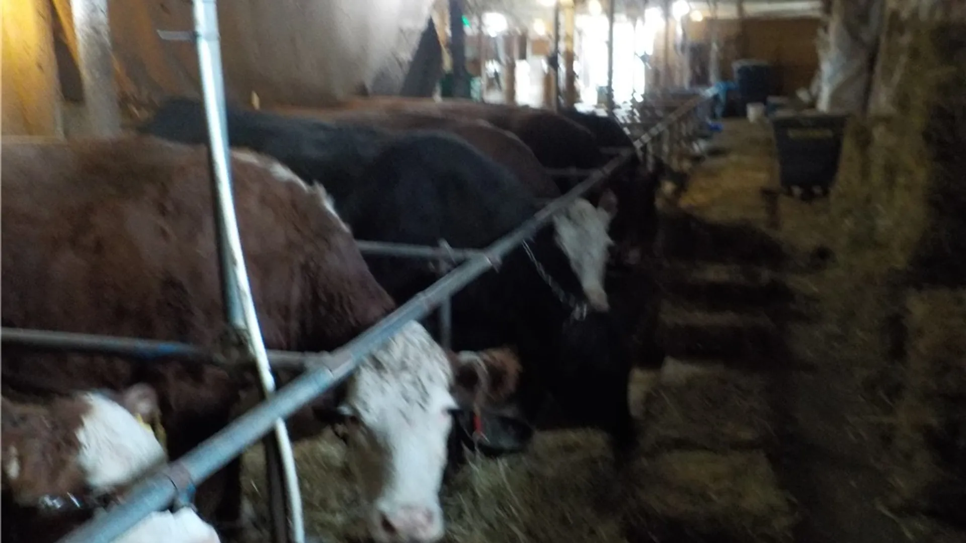 Property at 10846 Baker Road, Cato, NY 13033 47