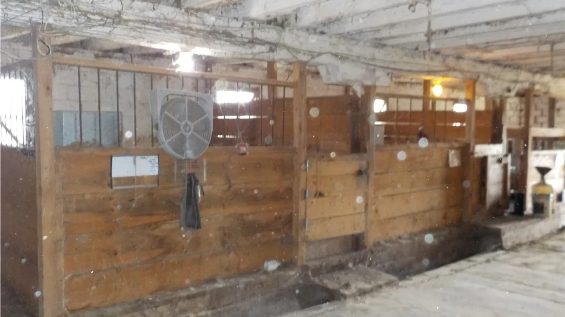 Property at 10846 Baker Road, Cato, NY 13033 48