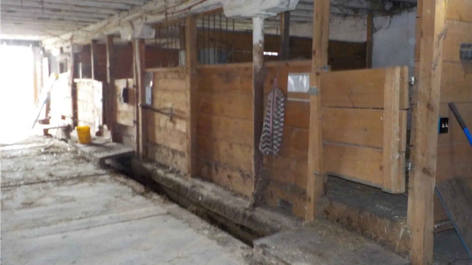 Property at 10846 Baker Road, Cato, NY 13033 50