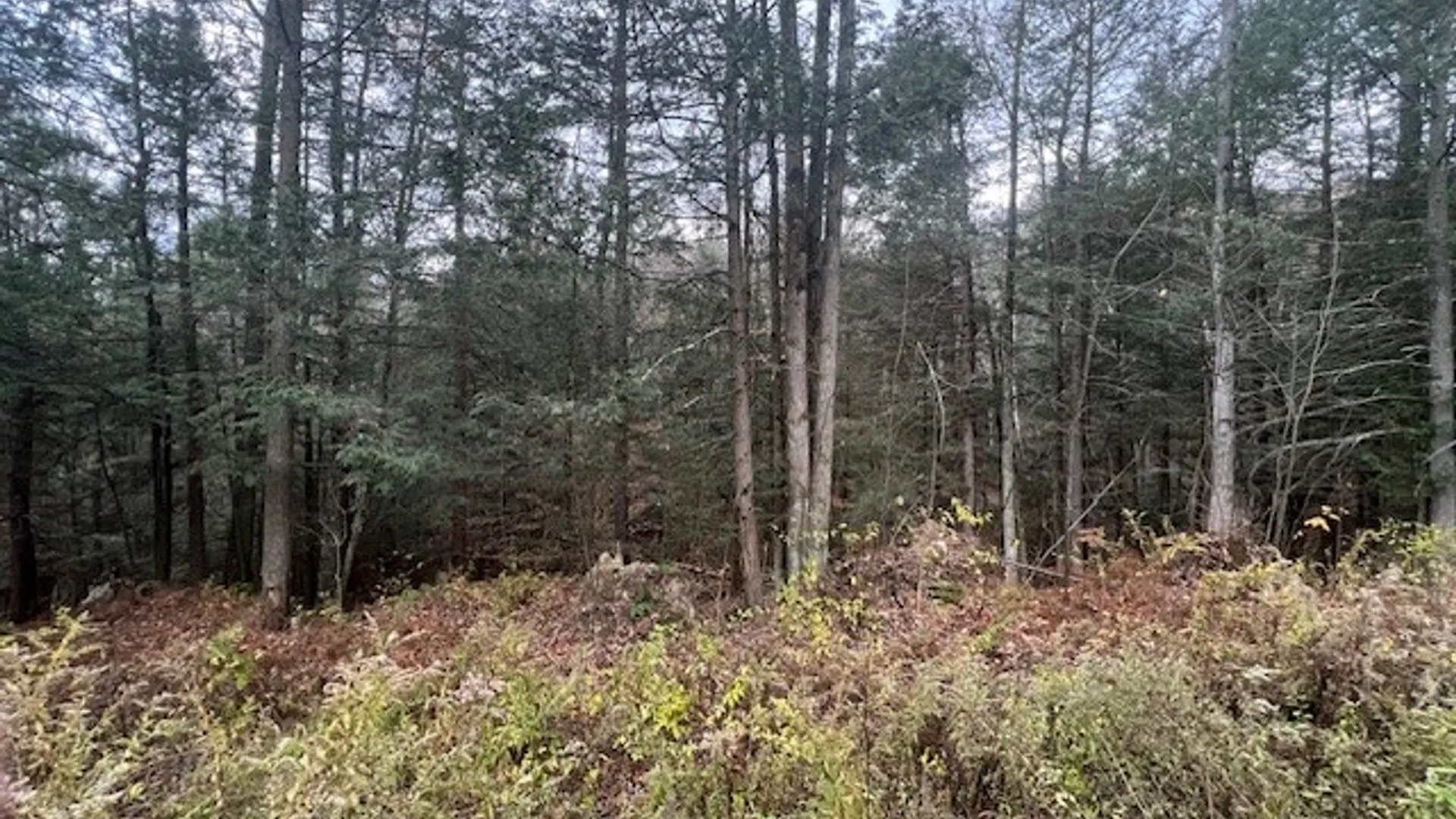 Property at 1475 Stewart Road, Tuscarora, NY 14801 13