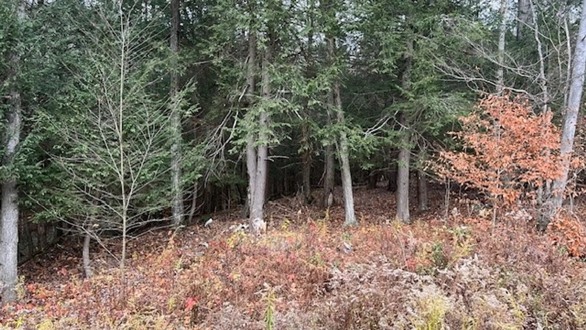 Property at 1475 Stewart Road, Tuscarora, NY 14801 14
