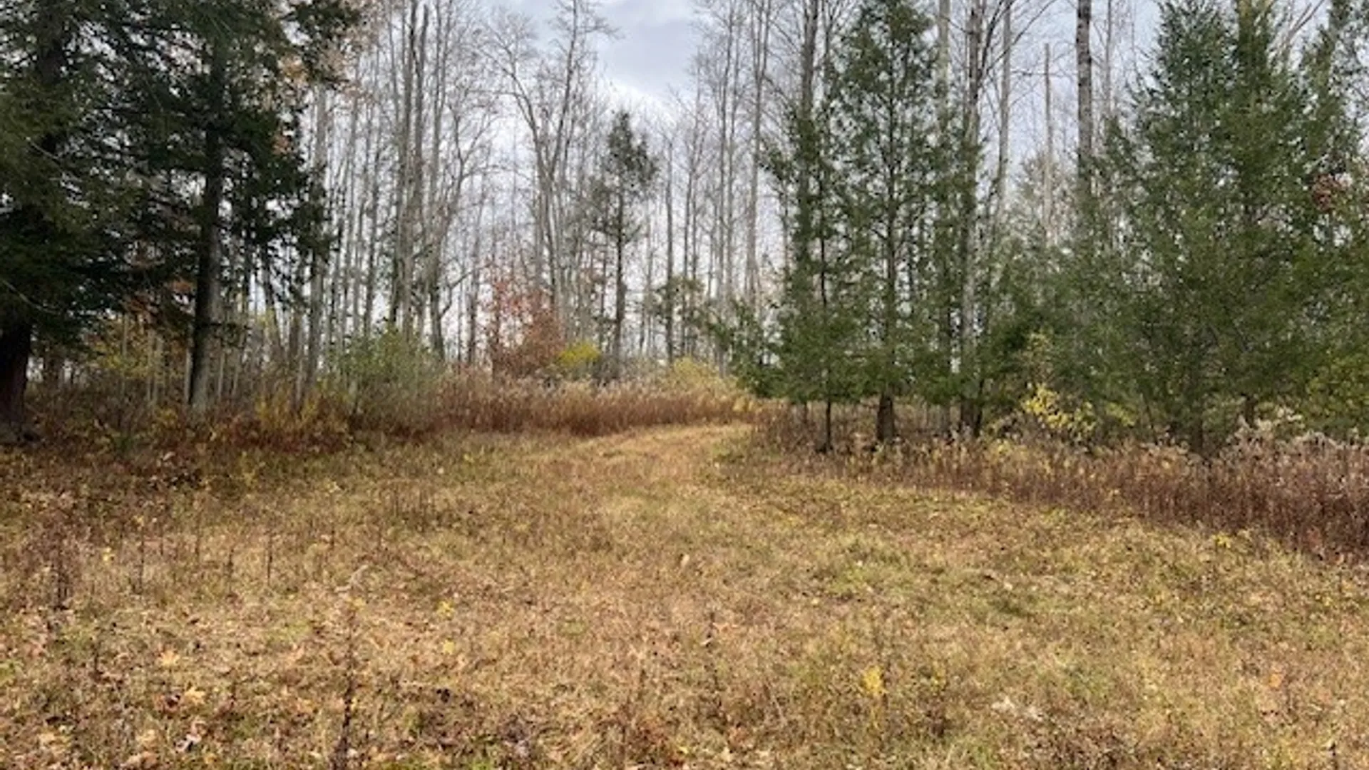 Property at 1475 Stewart Road, Tuscarora, NY 14801 15