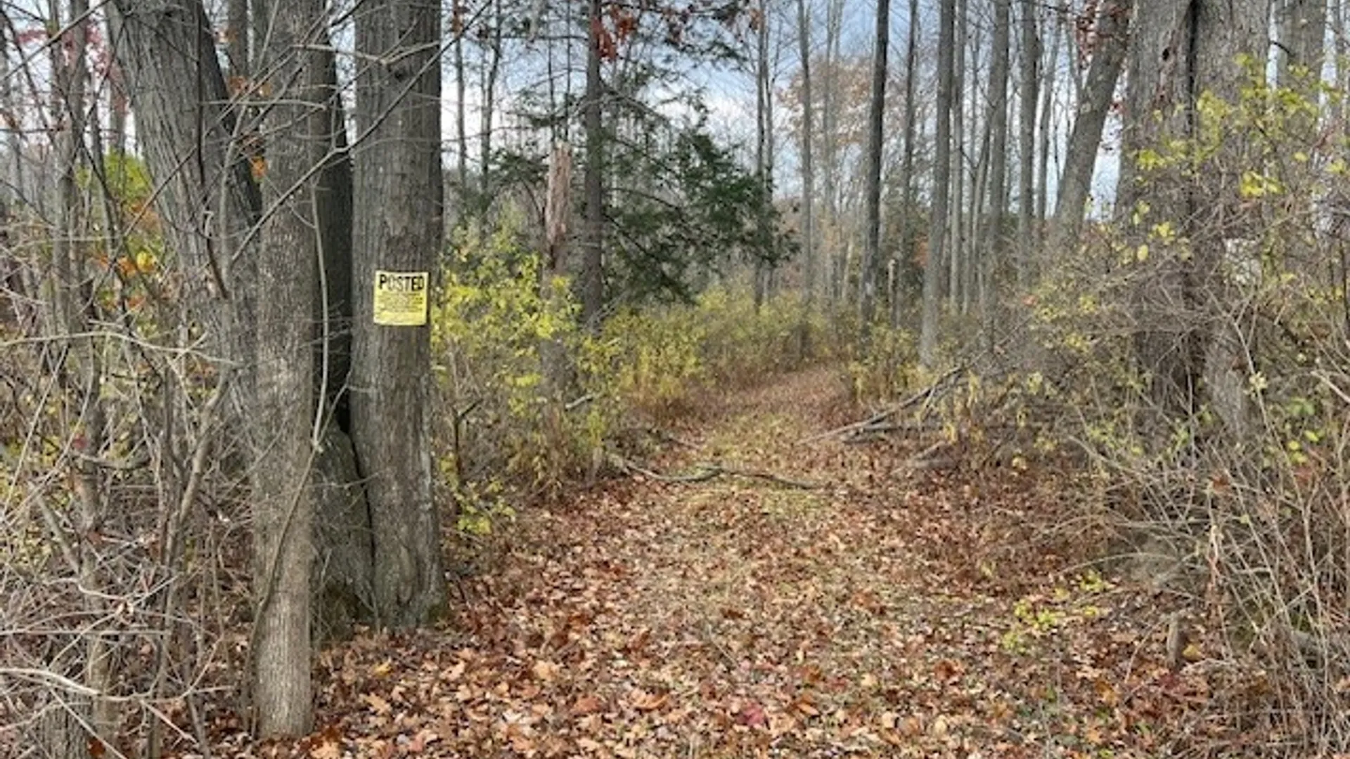Property at 1475 Stewart Road, Tuscarora, NY 14801 4