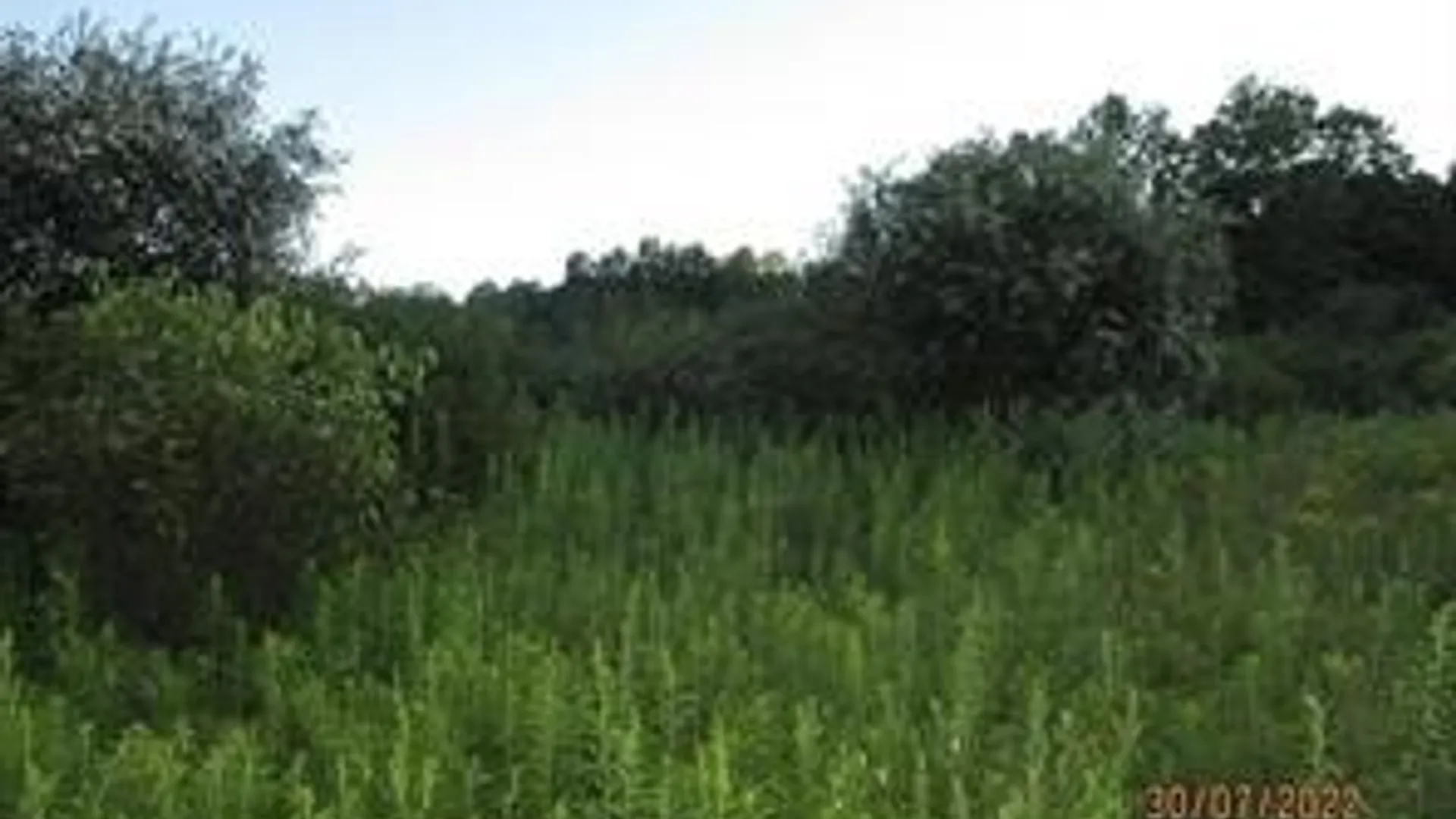 Property at 0 Daniels Road, Plymouth, NY 13844 2