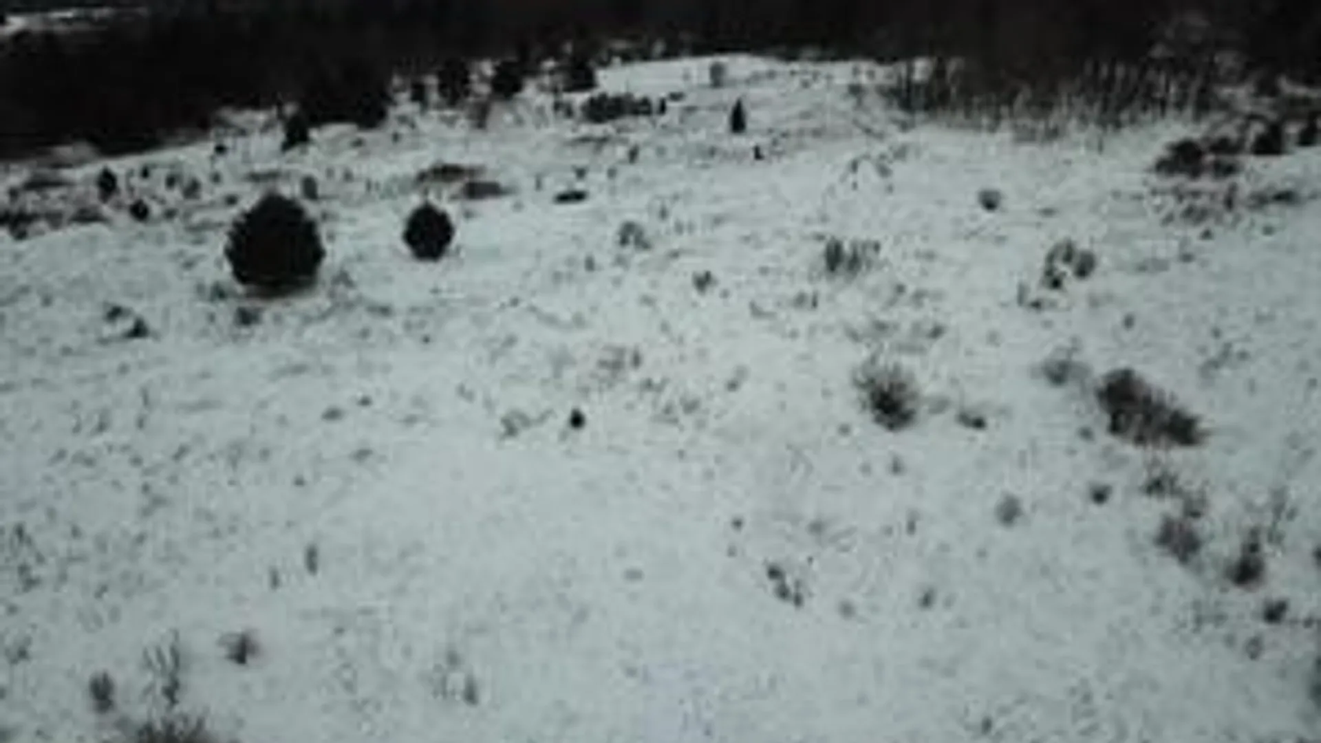 Property at 0 Daniels Road, Plymouth, NY 13844 3