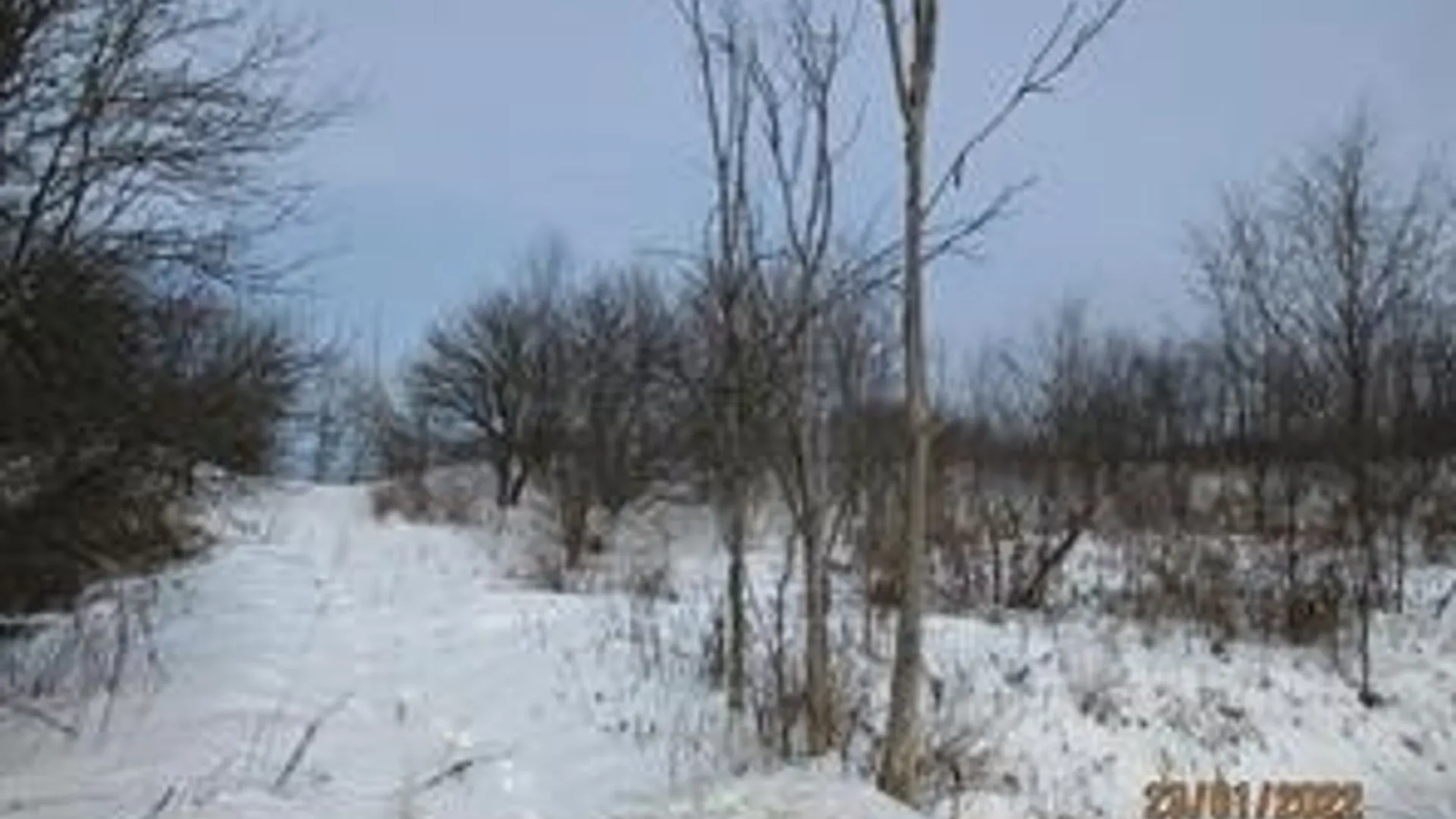 Property at 0 Daniels Road, Plymouth, NY 13844 4