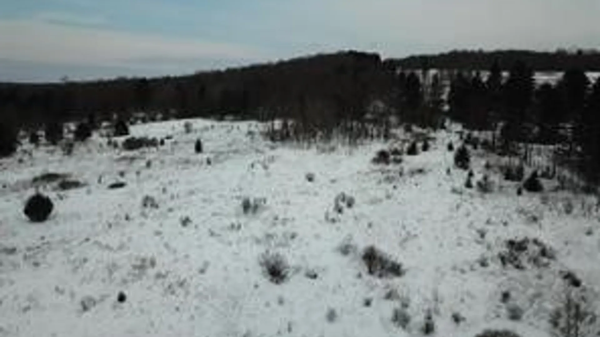 Property at 0 Daniels Road, Plymouth, NY 13844 5