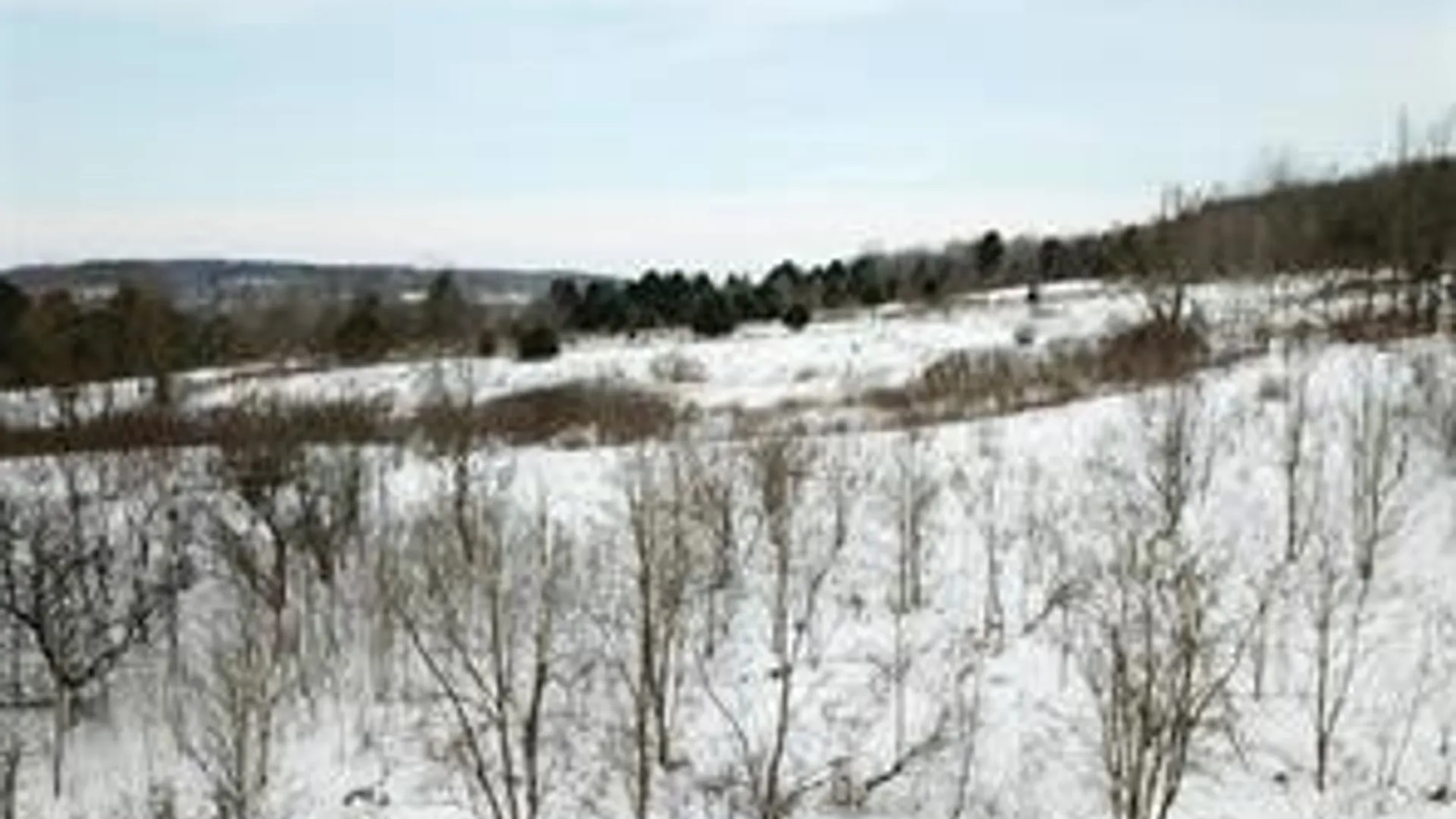 Property at 0 Daniels Road, Plymouth, NY 13844 6