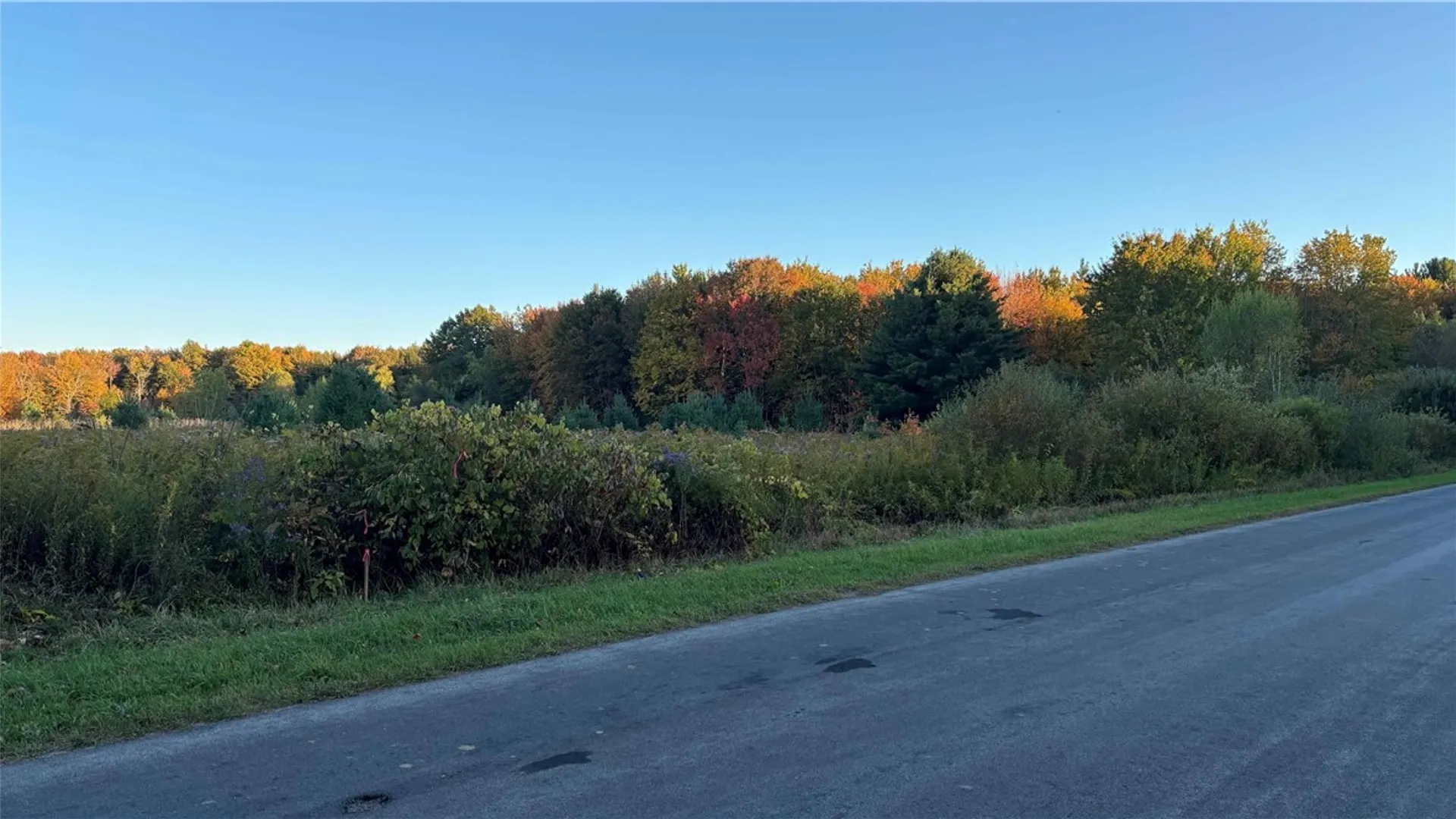 Property at 287 White Road, Parish, NY 13131 14