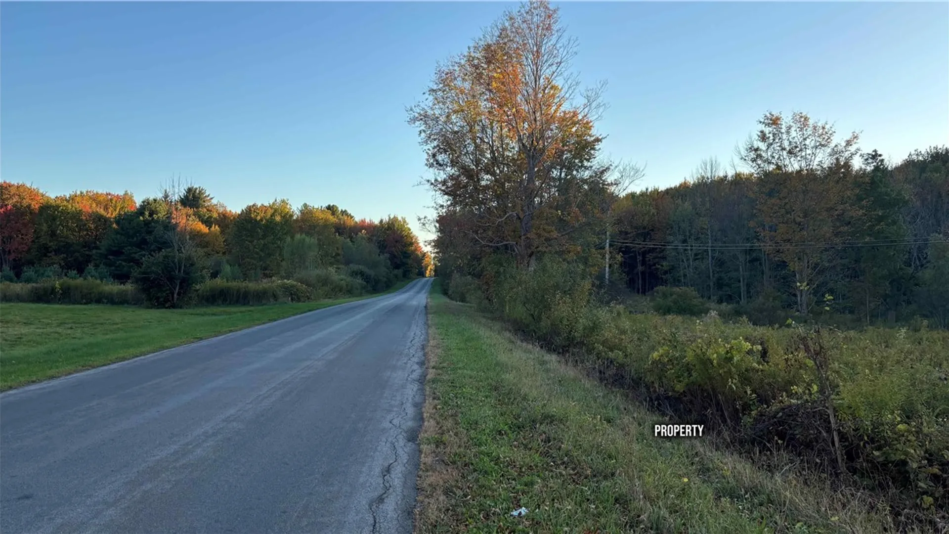 Property at 287 White Road, Parish, NY 13131 16