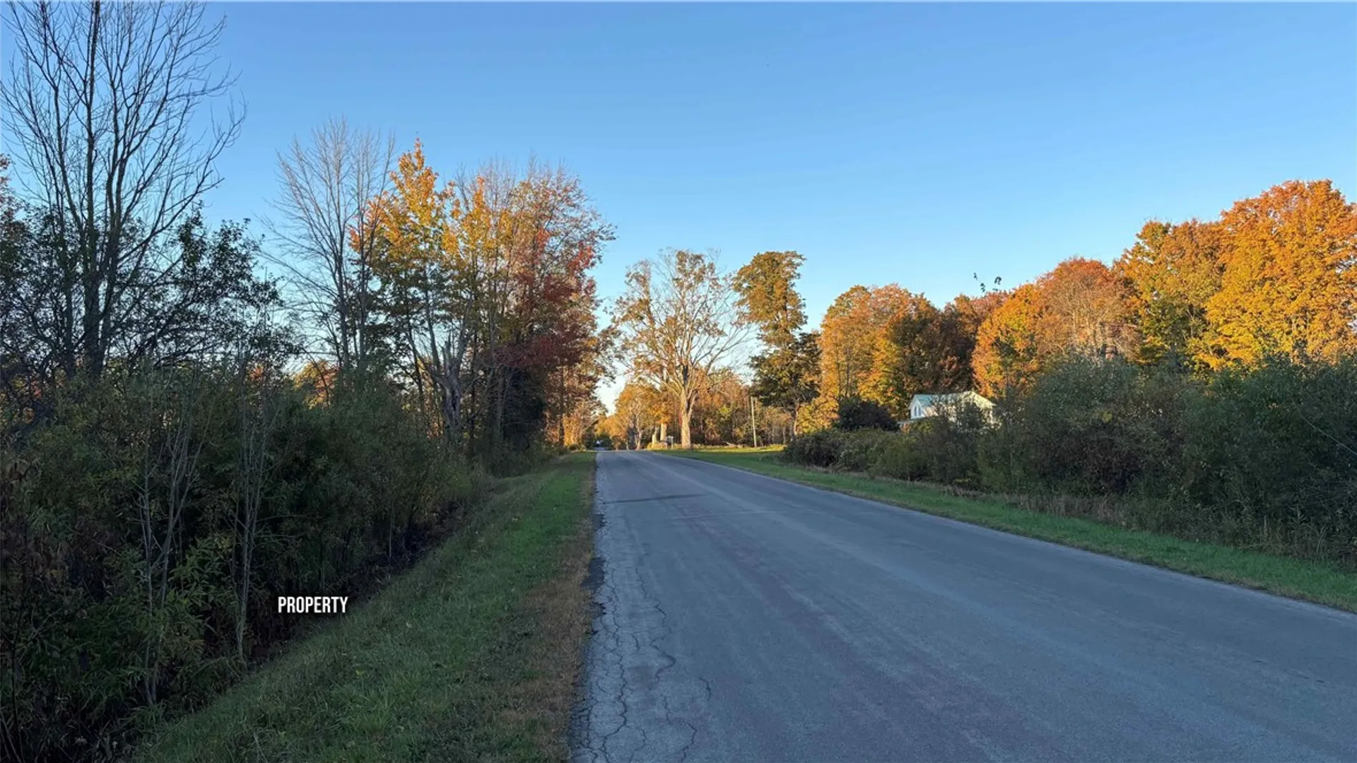 Property at 287 White Road, Parish, NY 13131 17