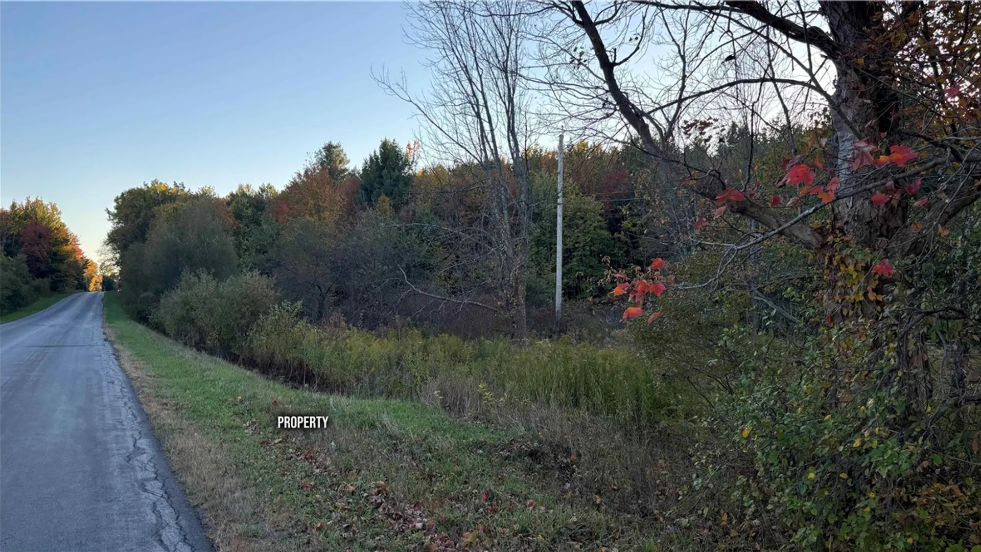 Property at 287 White Road, Parish, NY 13131 19