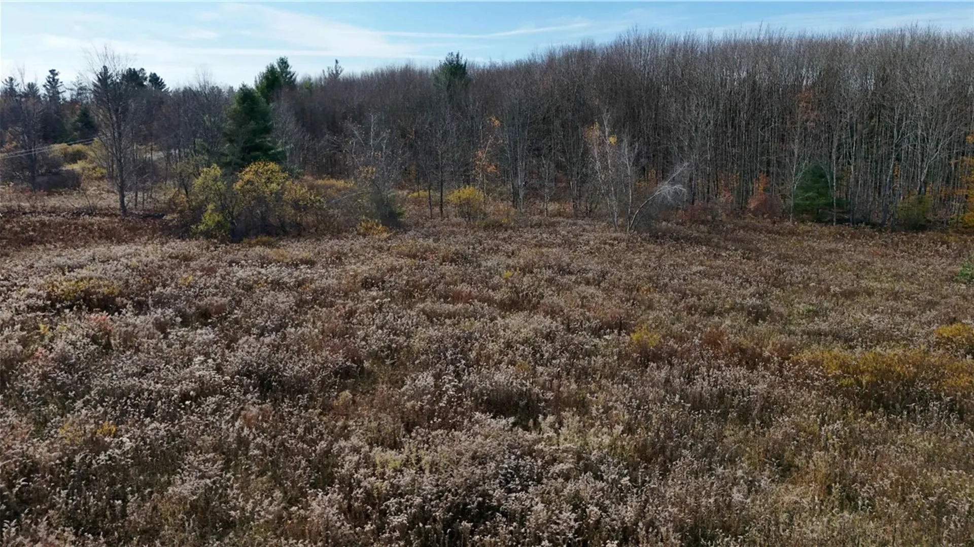 Property at 287 White Road, Parish, NY 13131 22