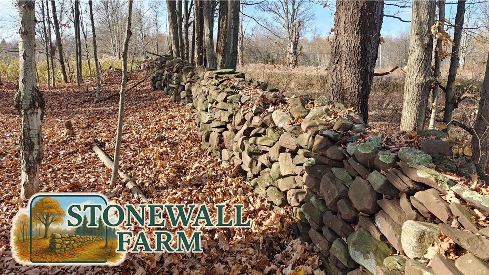 Property at 287 White Road, Parish, NY 13131 27