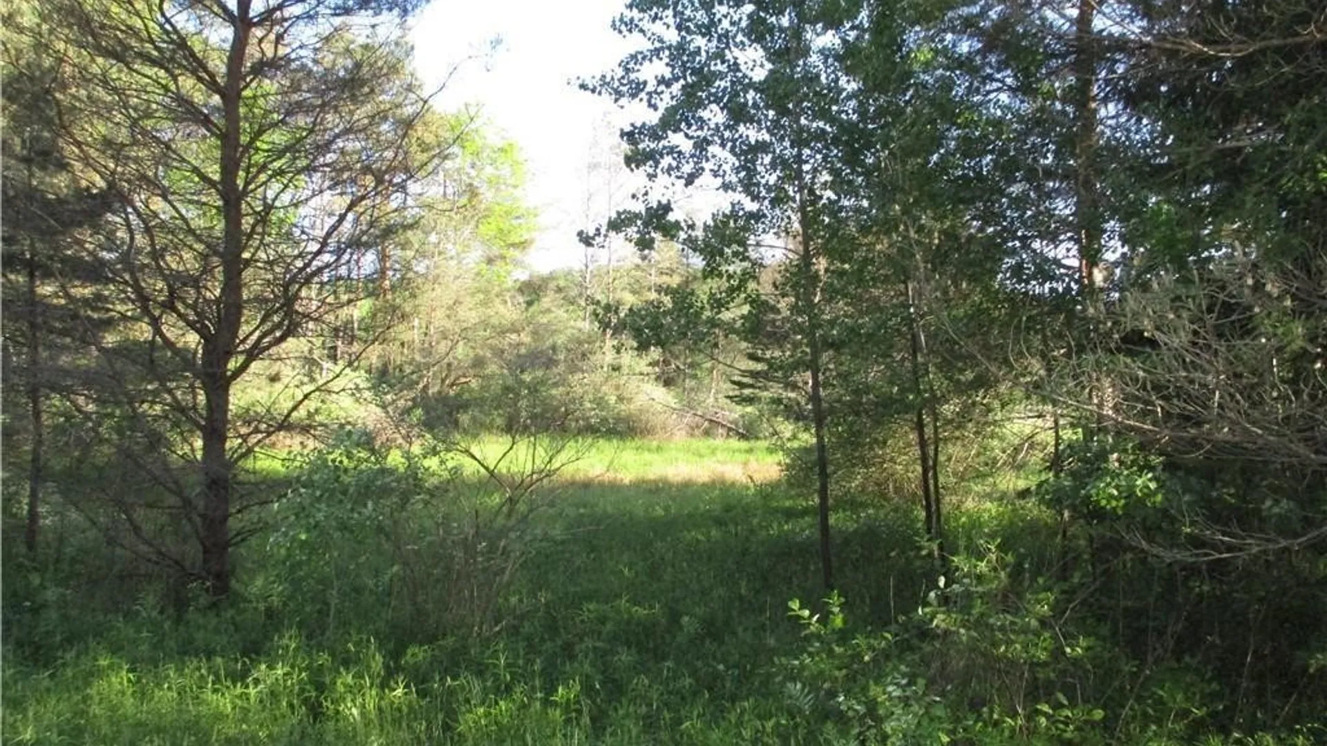 Property at Lot 1 State Route 80, Smyrna, NY 13464 2