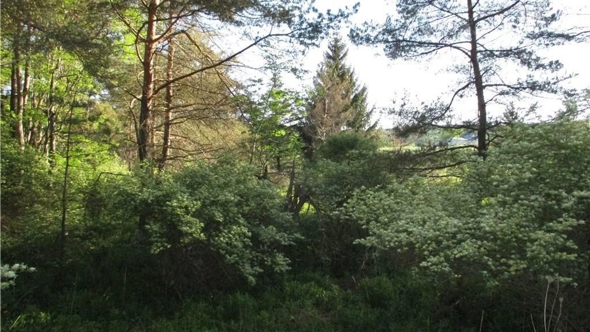 Property at Lot 1 State Route 80, Smyrna, NY 13464 3