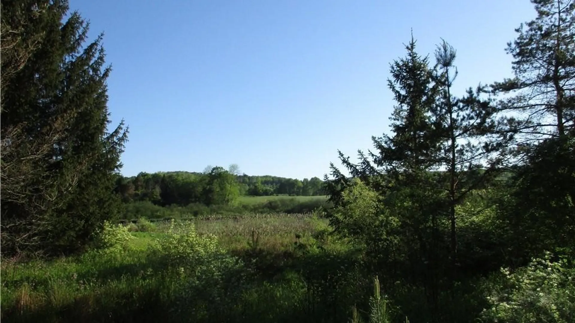 Property at Lot 1 State Route 80, Smyrna, NY 13464 4