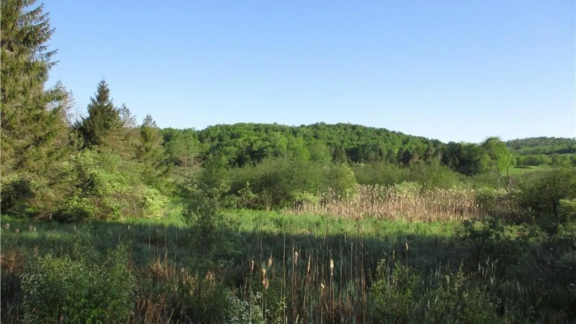 Property at Lot 1 State Route 80, Smyrna, NY 13464 6